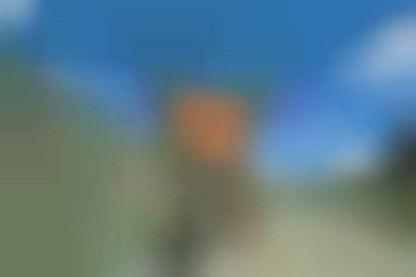 Near Focused Wild Creatures (UPDATE)