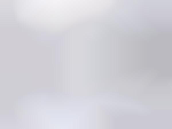 Netted Minimalism Retailers