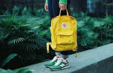 Colorfully Functional Knapsacks