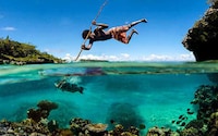Incredible Perfect Moment Photography Image 2