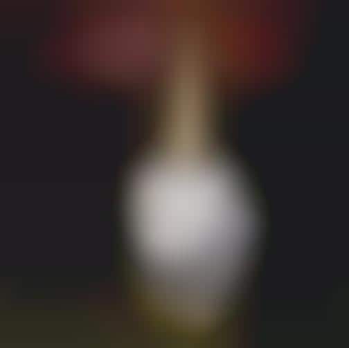 Garden Gnome Drink Accessories