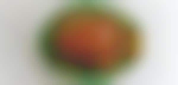 Illusory Meaty Desserts