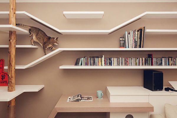 14 Feline-Friendly Shelves