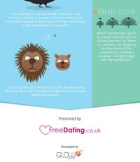 Animalistic Dating Infographics Image 6