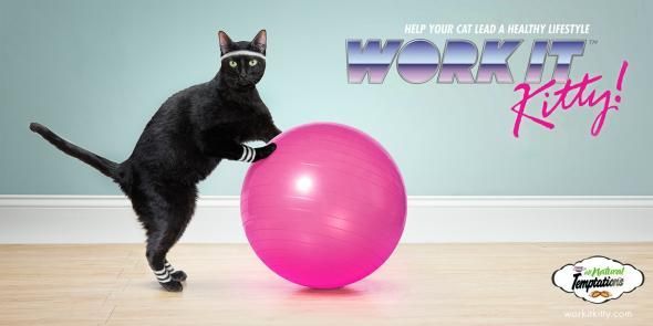 10 Examples of Cat Product Marketing