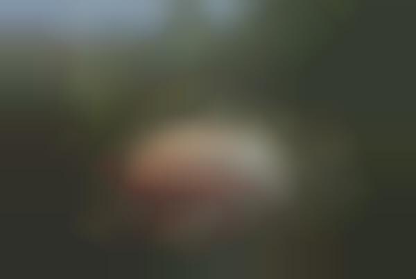 Contemporary Emotive Photographs