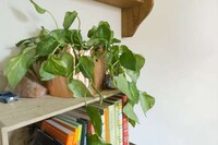 DIY Autumnal Lamps Image 8