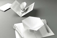 Flat-Packed Dishes Image 3