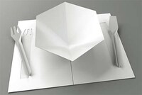 Flat-Packed Dishes Image 4
