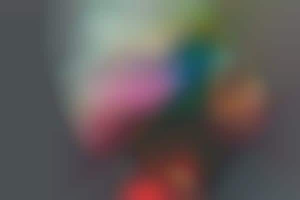 Multicolored Beauty Portraits