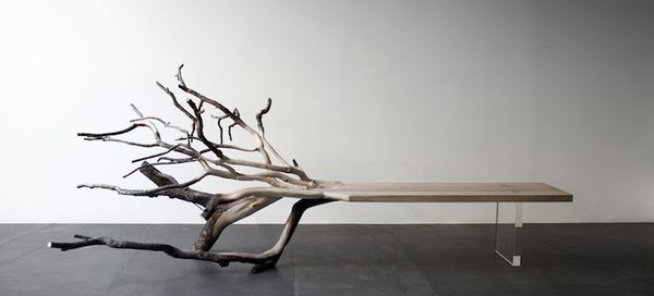 59 Rustic Arboreal Furnishings