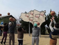 Multi-Hoop Basketball Boards Image 4