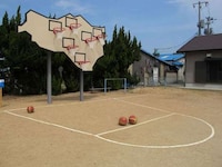 Multi-Hoop Basketball Boards Image 6