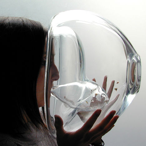 Cancer-Detecting Bee Containers