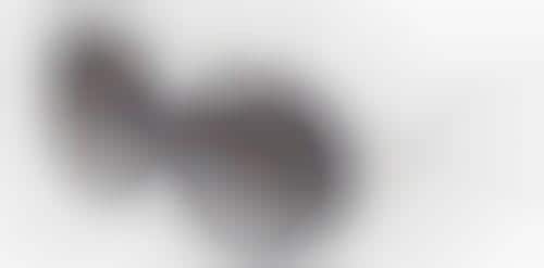 Crystal-Embedded Eyewear Collections