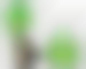 Wheeled Laptop Cases