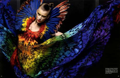 15 Beautiful Butterfly Designs 