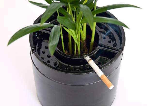 Pro-Smoking Designs