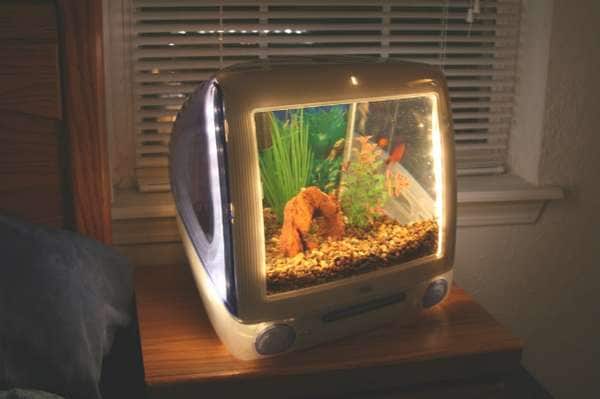 19 Amazing Aquariums 