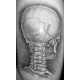 Great Sites For Medicine, Art and Design Image 5