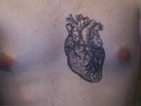 Anatomical Tattoo