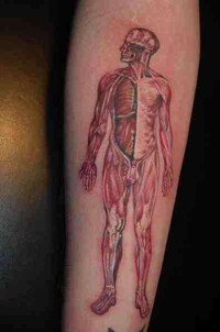 Anatomical Tattoo