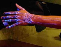 Anatomical Tattoo
