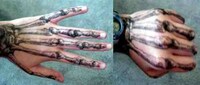 Anatomical Tattoo