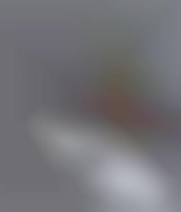 Litter Boxes for Dogs