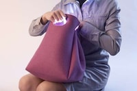 Glowing Purses Image 4