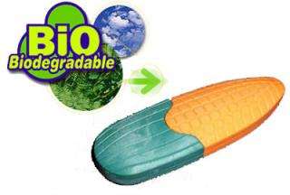 Biodegradable USBs