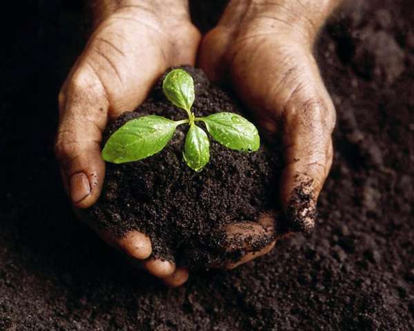19 Biodegradable Innovations to Make Composting Cool