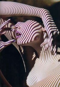 Shadow Fashion Shoots Image 4