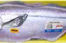 Fishy Furnishings