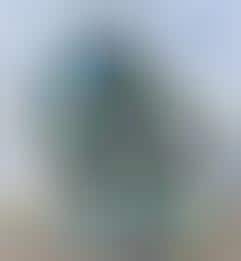 95% Recycled Architecture