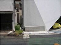 Modern Tokyo Compact Housing Image 3
