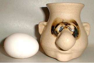 Nasty Kitchen Gadgets