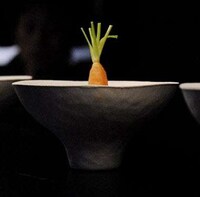 Stylish Disposable Dishes