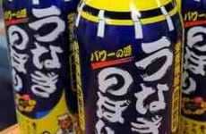 Real Eel Soft Drinks