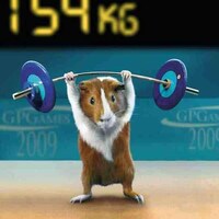Guinea Pig Olympics Image 2