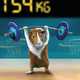 Guinea Pig Olympics Image 2