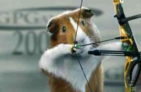 Guinea Pig Olympics Image 8