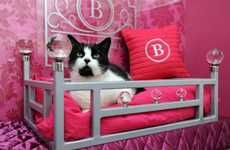 Luxurious Feline Vacations