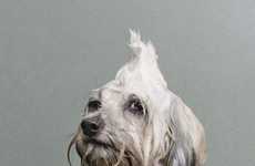 Sudsy Puppy Photography