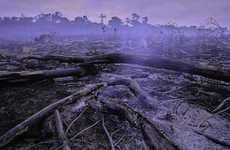 Destruction Demonstrating Eco-Photography