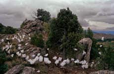 Floating Photography Collisions (UPDATE)