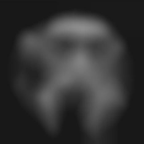 Rebellious Bike Gang Portraits