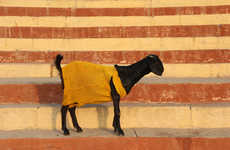 Well-Dressed Animal Art