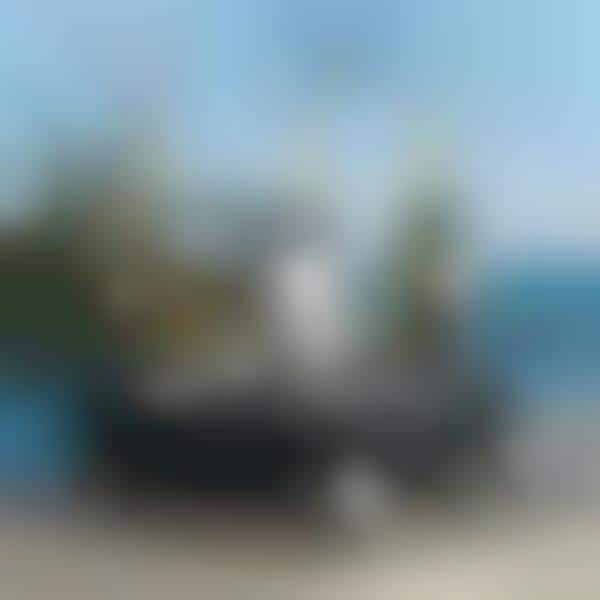 Aquatic Beverage-Baring Vehicles 