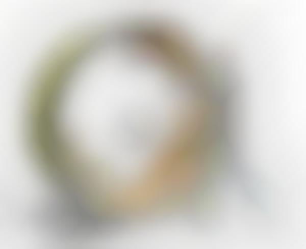 Adaptable Ring Escritoires